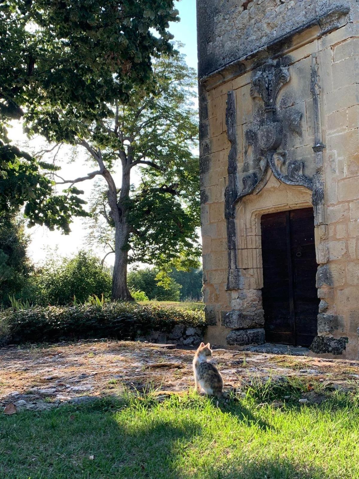 Chateau De Monsac エクステリア 写真